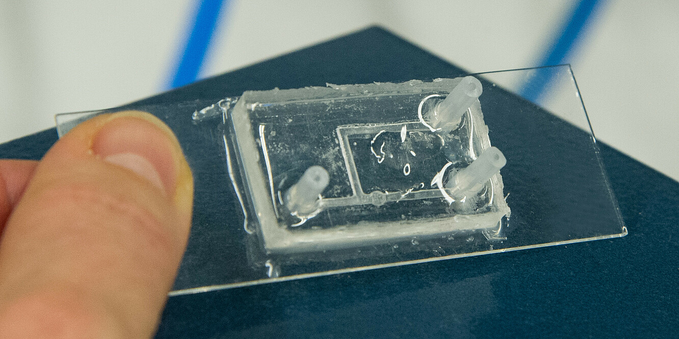 Messzelle mit Mikrofluidik